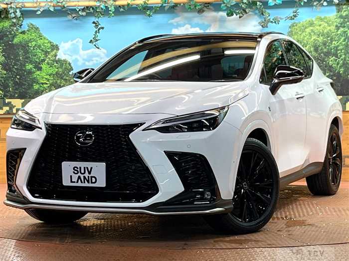 2023 Lexus NX