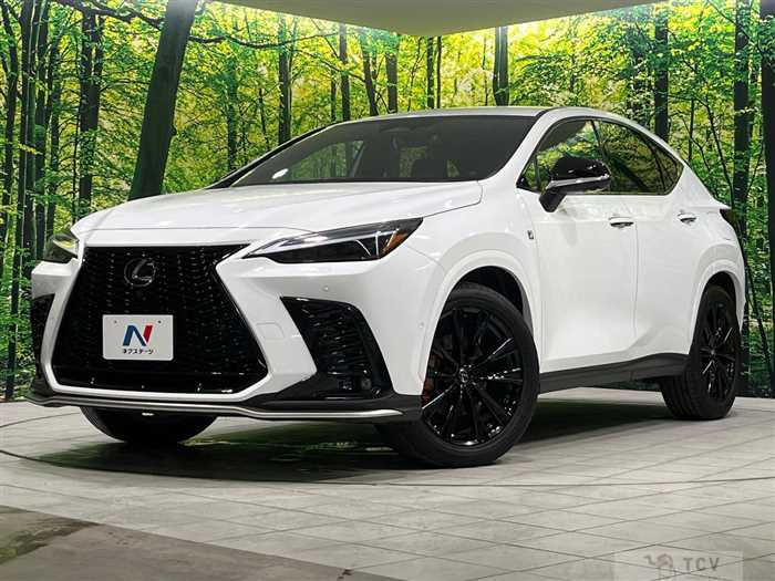 2025 Lexus NX