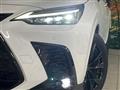 2025 Lexus NX