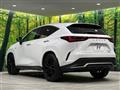 2025 Lexus NX