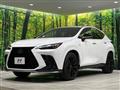2025 Lexus NX