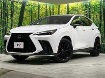2025 Lexus NX