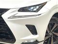 2019 Lexus NX