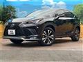 2020 Lexus NX
