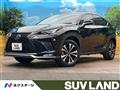 2020 Lexus NX