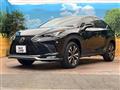 2020 Lexus NX