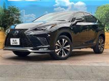 2020 Lexus NX