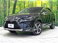 2019 Lexus NX