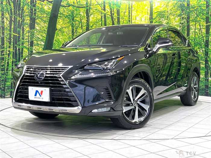 2019 Lexus NX
