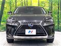 2019 Lexus NX