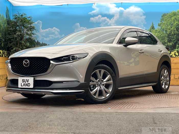 2023 Mazda Mazda Others