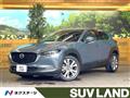 2019 Mazda Mazda Others