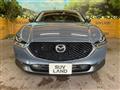 2019 Mazda Mazda Others
