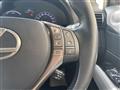 2013 Lexus RX