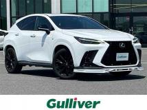 2022 Lexus NX