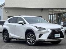 2018 Lexus NX