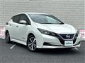 2019 Nissan Leaf