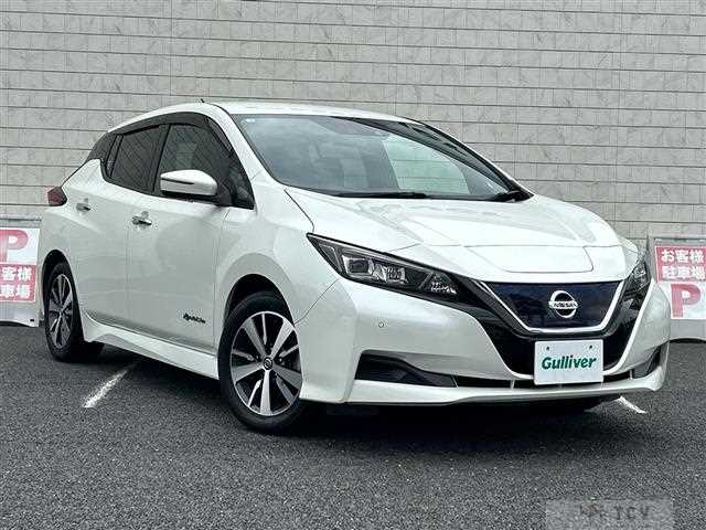 2019 Nissan Leaf