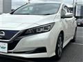 2019 Nissan Leaf