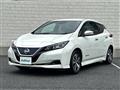 2019 Nissan Leaf