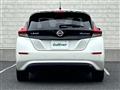 2019 Nissan Leaf