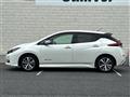 2019 Nissan Leaf