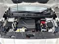 2019 Nissan Leaf