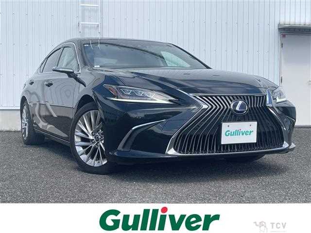 2019 Lexus ES