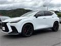 2022 Lexus NX