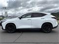 2022 Lexus NX