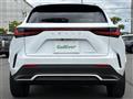 2022 Lexus NX