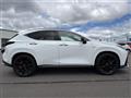 2022 Lexus NX