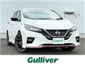 2019 Nissan Leaf