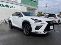 2017 Lexus NX