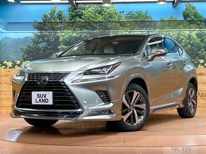 2018 Lexus NX