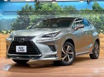 2018 Lexus NX