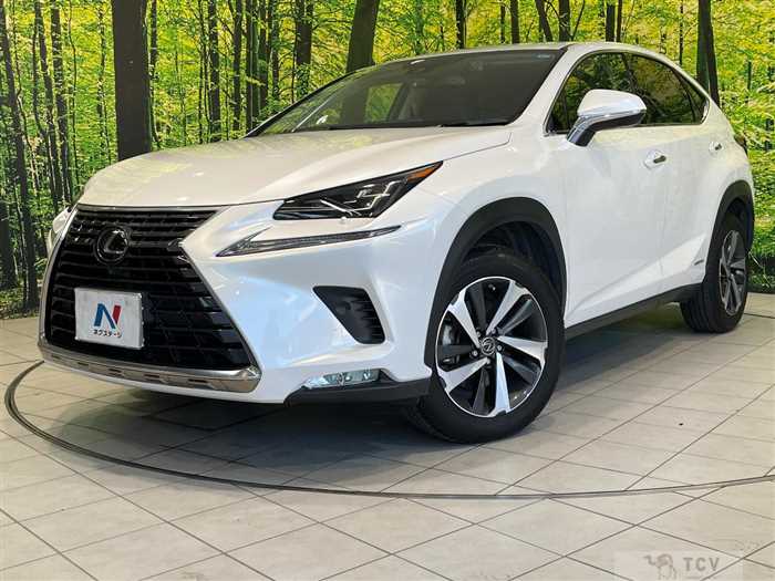 2020 Lexus NX
