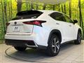 2020 Lexus NX