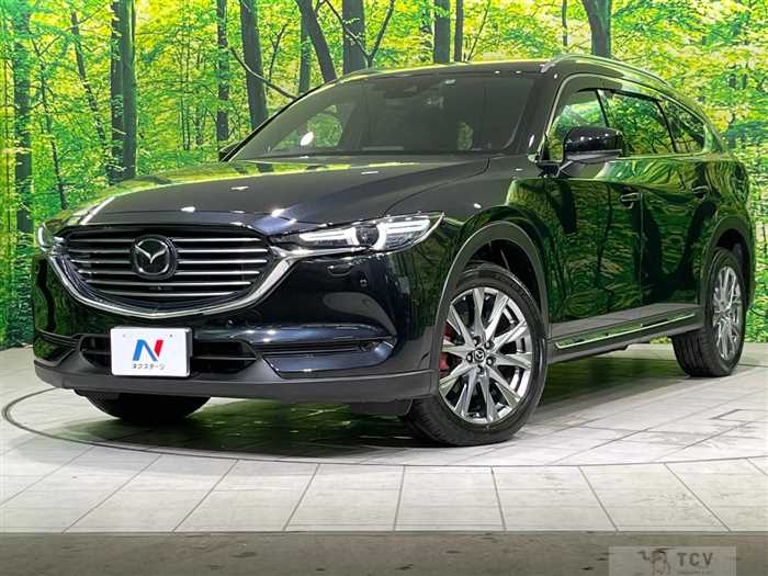 2018 Mazda CX-8