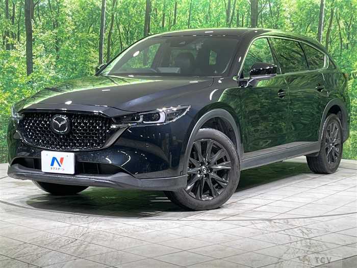 2024 Mazda CX-8