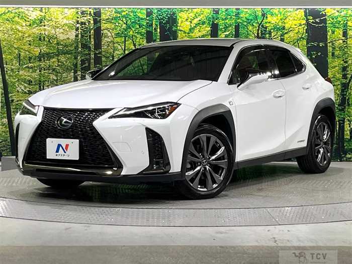 2020 Lexus Other