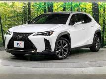 2020 Lexus Other