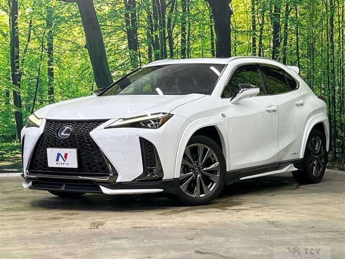 2019 Lexus Other