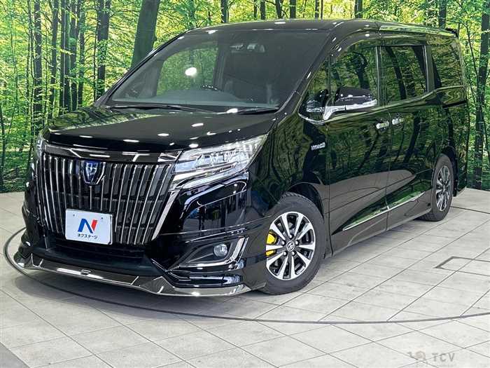 2019 Toyota Esquire