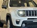 2021 Chrysler Renegade