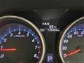 2009 Toyota Mark X