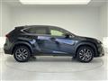 2017 Lexus NX