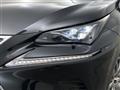 2020 Lexus NX