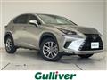 2020 Lexus NX