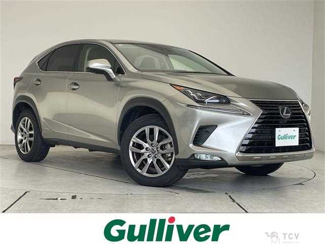 2020 Lexus NX